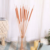 Cattail For Vase - Dried flower decorative sticks | Ecofriendly and natural home decor items