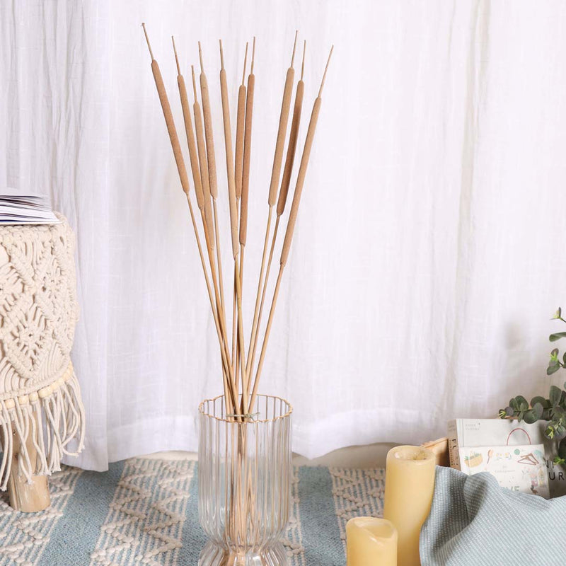 Cattail Stem For Decor - Dried flower decorative sticks | Ecofriendly and natural home decor items