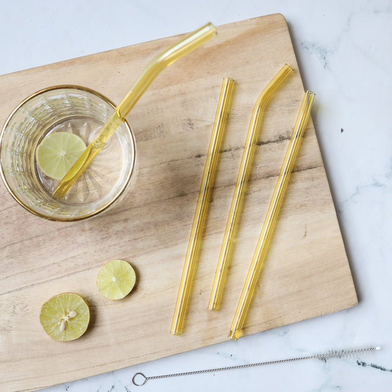 Glass Drinking Straw Set of 4