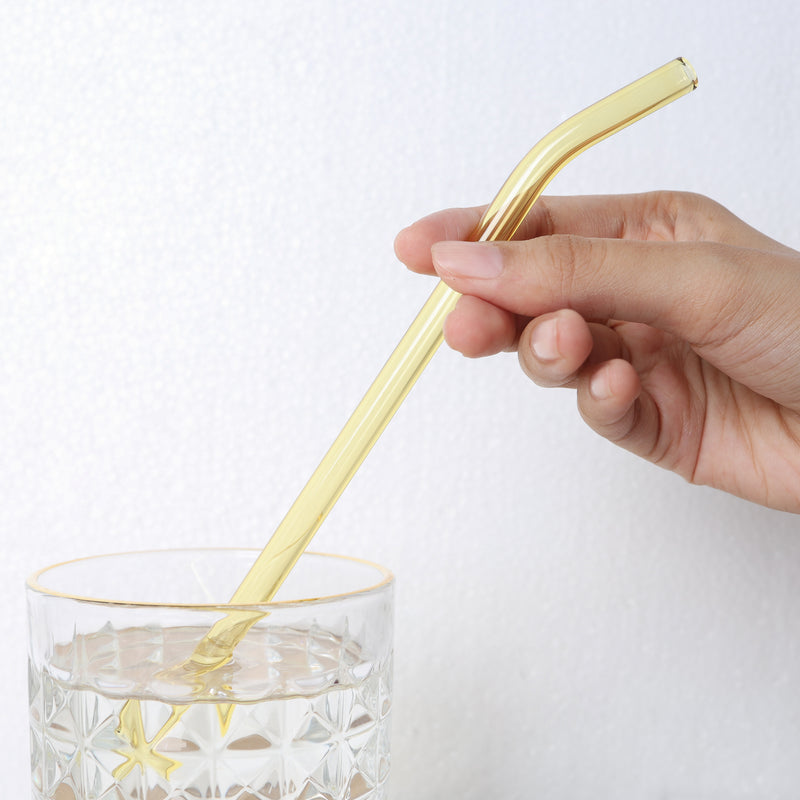 Glass Drinking Straw Set of 4
