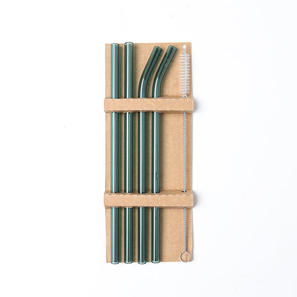 Glass Straw Set of 4