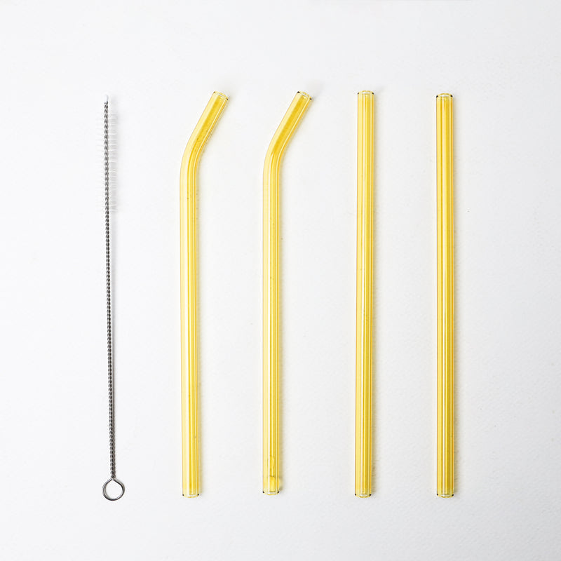 Glass Drinking Straw Set of 4