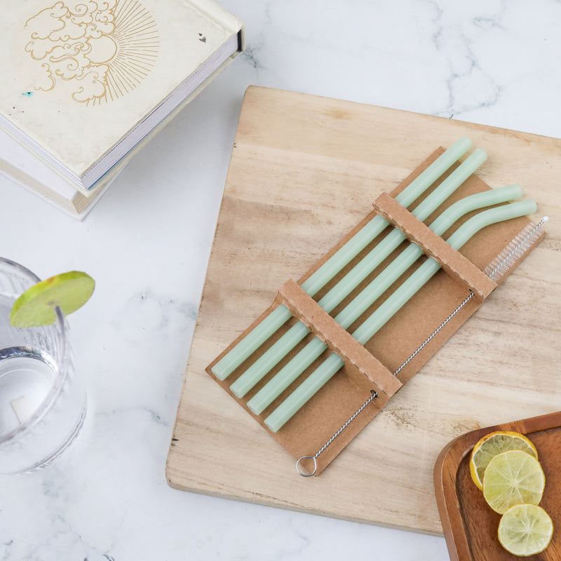 Glass Straw Set of 4