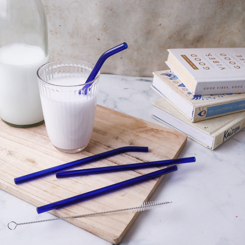 Glass Drinking Straw Set of 4