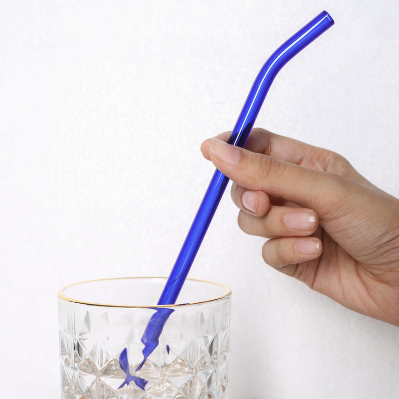 Glass Drinking Straw Set of 4