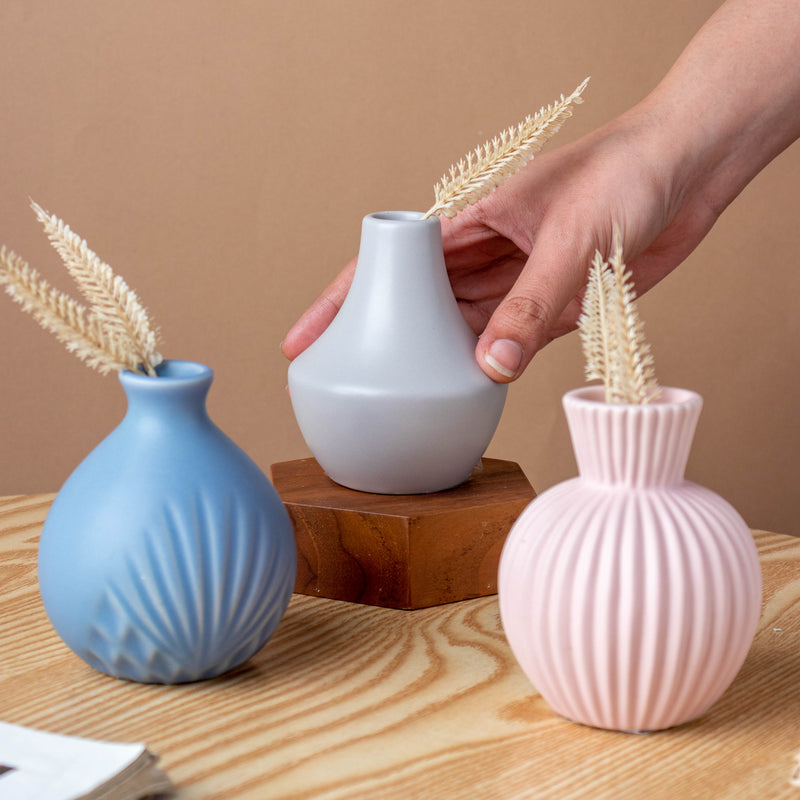 Mini Chromatic Vase - Flower vase for home decor, office and gifting | Home decoration items