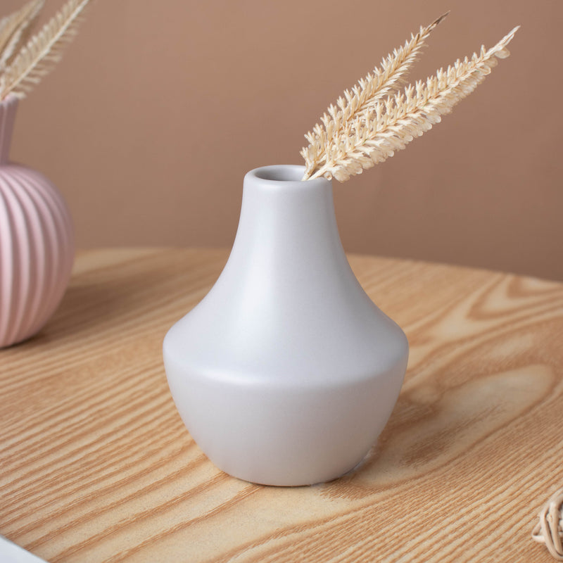 Mini Chromatic Vase - Flower vase for home decor, office and gifting | Home decoration items