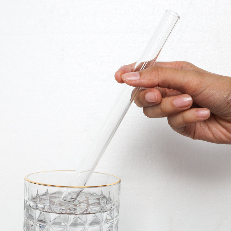 Crystal Clear Glass Straw Set of 3