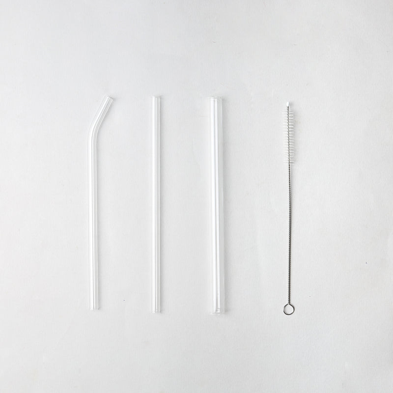 Crystal Clear Glass Straw Set of 3