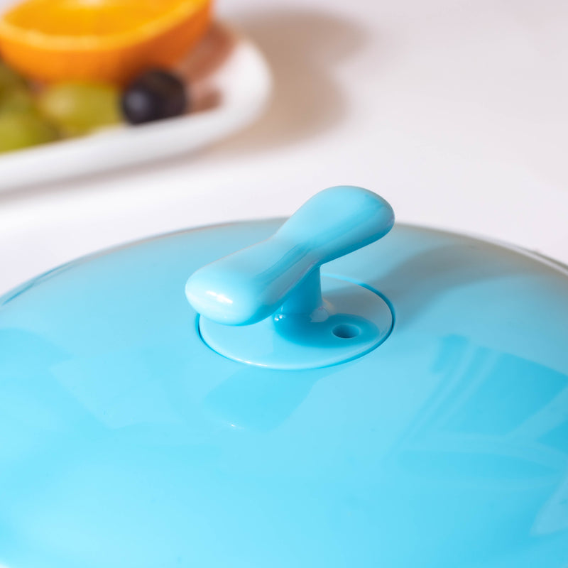 Tellytubby Stay Warm Steel Bowl With Suction Base Blue 300 ml - Kids Lunch Box