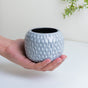 Glazed Modern Flower Vase - Flower vase for home decor, office and gifting | Home decoration items