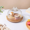 Rotating Cake Stand 9.5 Inch