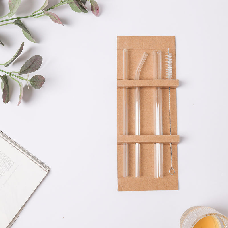 Crystal Clear Glass Straw Set of 3