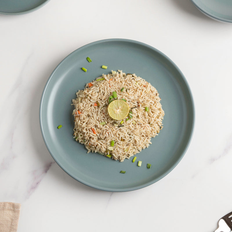 Riona Ceramic Dinner Plate Green Grey 10 Inch - Serving plate, rice plate, ceramic dinner plates| Plates for dining table & home decor