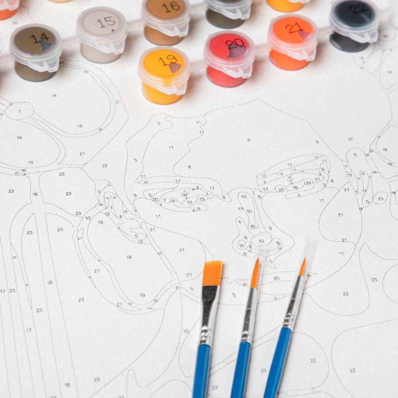 Girl With Tulips DIY Painting By Numbers Kit