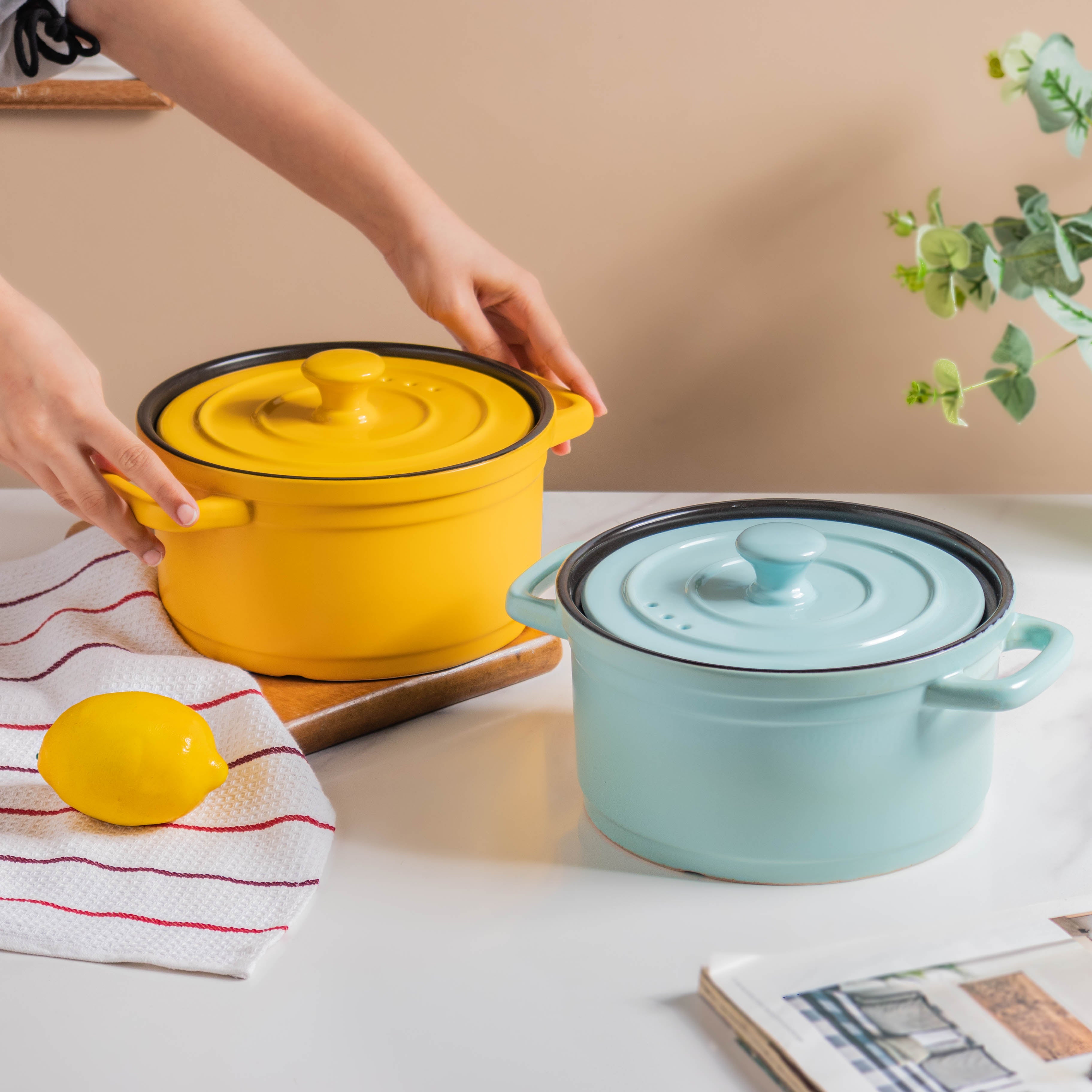 Ceramic Pot - Buy Big Cooking Pot With Lid Online in India | Nestasia