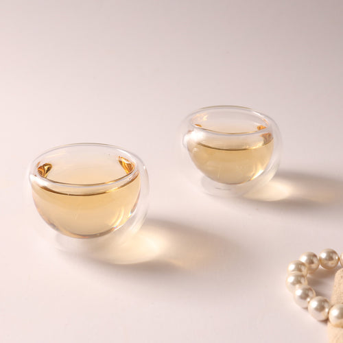 Double Wall Glass Cup