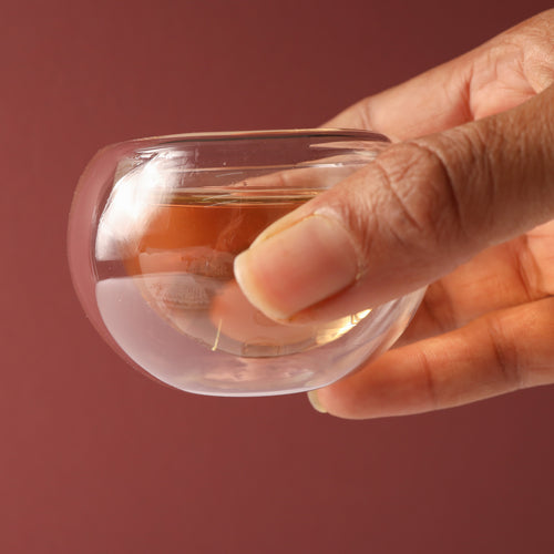 Double Wall Glass Cup