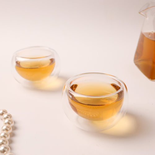 Double Wall Glass Cup
