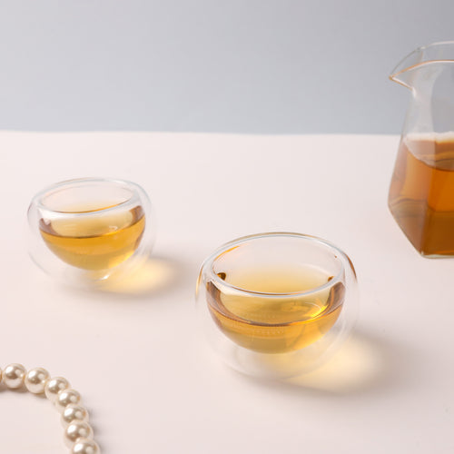 Double Wall Glass Cup