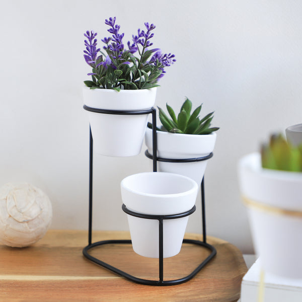 Planter Set of 3 - Indoor plant pots and flower pots | Home decoration items