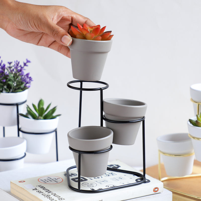 Planter Set of 3 - Indoor plant pots and flower pots | Home decoration items