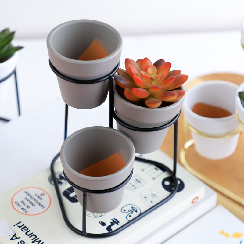 Planter Set of 3 - Indoor plant pots and flower pots | Home decoration items