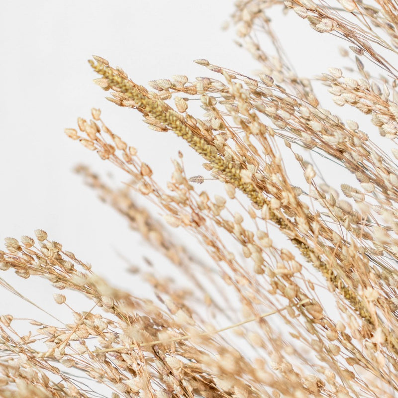 Natural Star Grass 100 Grams - Natural and sustainable home decor products | Room decoration items