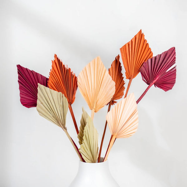Natural Multicolored Palm Leaf Stems 10 Pieces - Natural and sustainable home decor products | Room decoration items