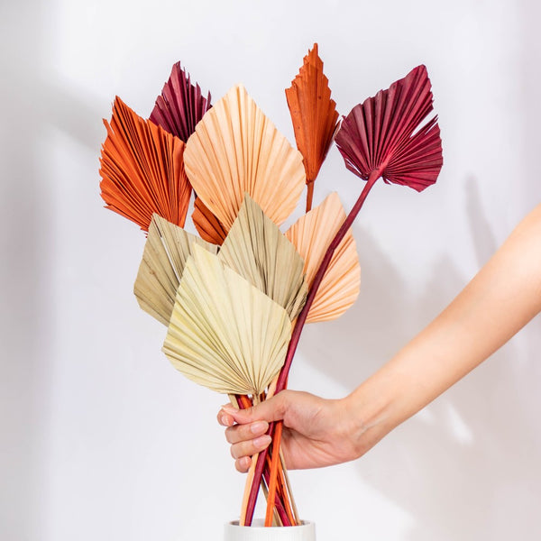 Natural Multicolored Palm Leaf Stems 10 Pieces