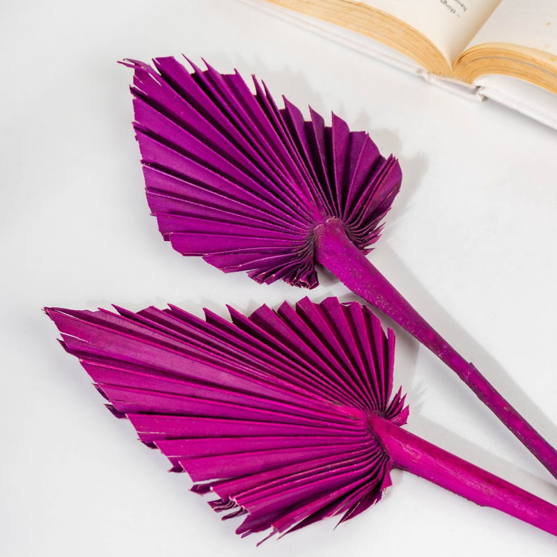 Natural Dried Palm Leaf Bunch 10 Sticks Multicolored - Natural and sustainable home decor products | Room decoration items