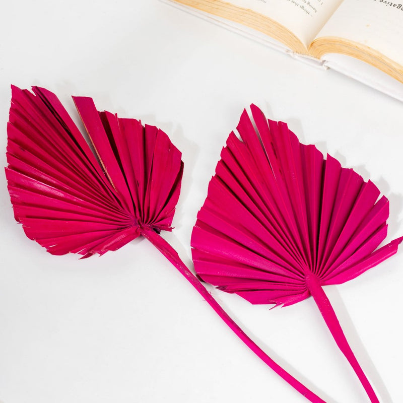 Natural Dried Palm Leaf Bunch 10 Sticks Multicolored - Natural and sustainable home decor products | Room decoration items