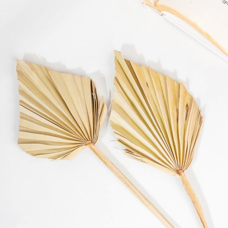 Natural Dried Palm Leaf Bunch 10 Sticks Multicolored - Natural and sustainable home decor products | Room decoration items