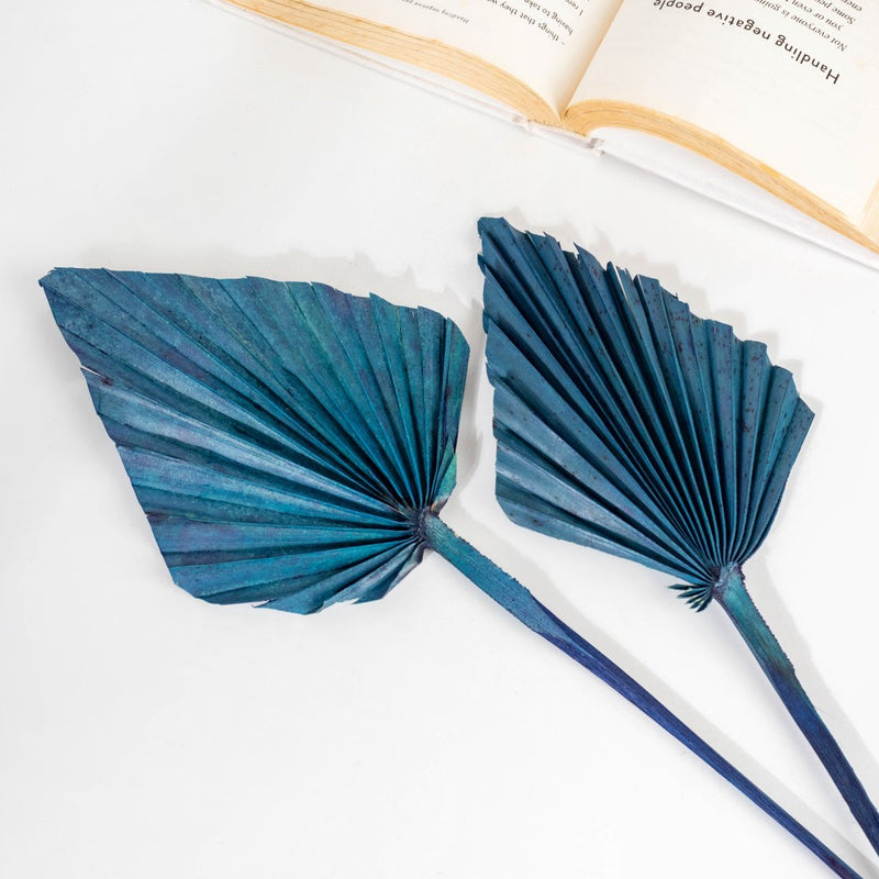 Natural Dried Palm Leaf Bunch 10 Sticks Multicolored - Natural and sustainable home decor products | Room decoration items