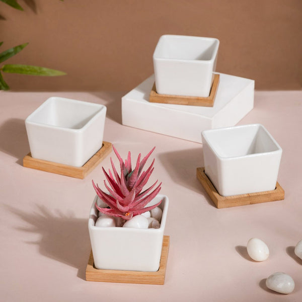 White Ceramic Planter Square Set Of 4