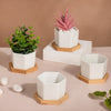 White Ceramic Planter Hexagon Set Of 4