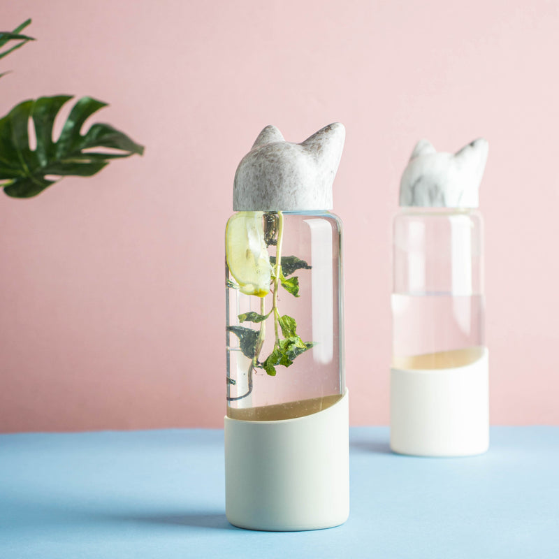 Fox ear Bottle - Water bottle, juice bottle, glass bottle | Bottle for Travelling & Dining Table