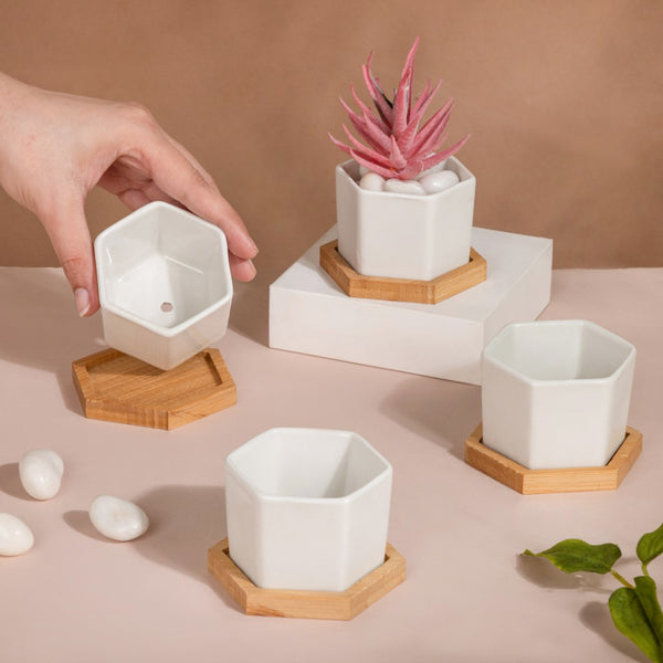 White Ceramic Planter Hexagon Set Of 4