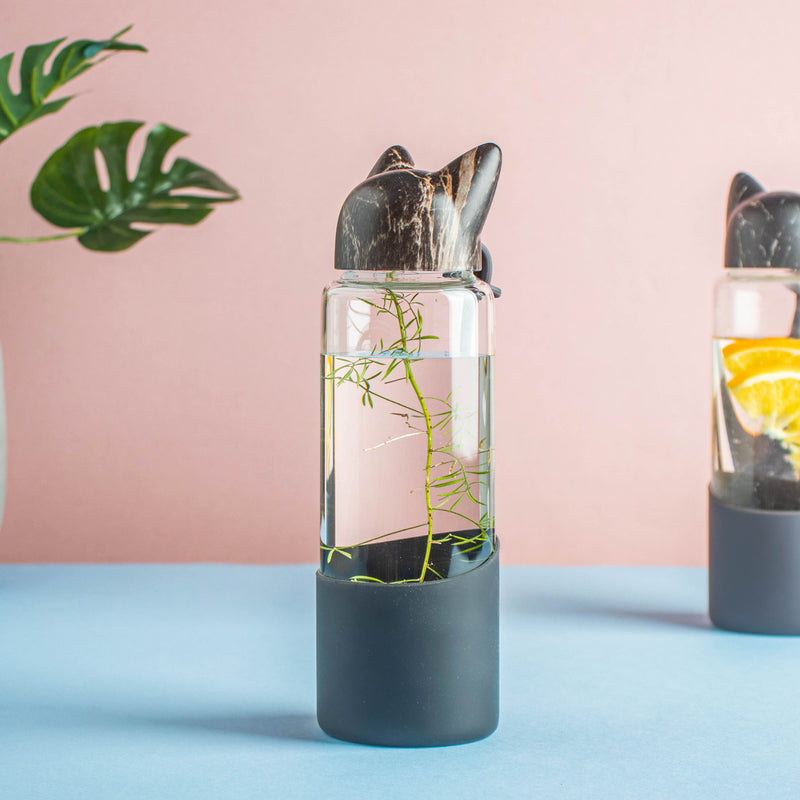 Fox ear Bottle - Water bottle, juice bottle, glass bottle | Bottle for Travelling & Dining Table