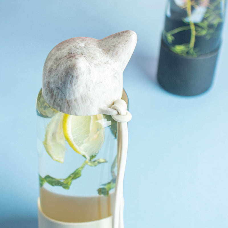 Fox ear Bottle - Water bottle, juice bottle, glass bottle | Bottle for Travelling & Dining Table