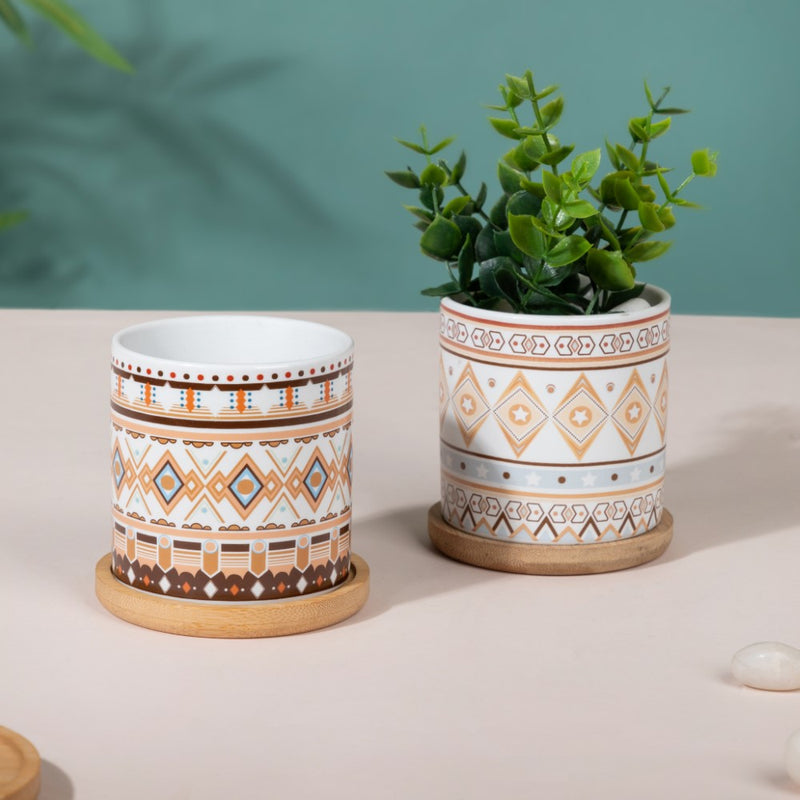 Botanic Expressions Ceramic Planter With Coaster Set Of 2