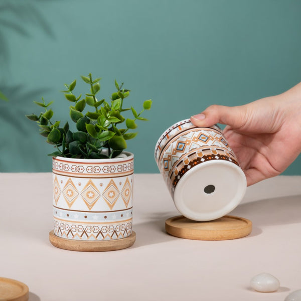 Botanic Expressions Ceramic Planter With Coaster Set Of 2
