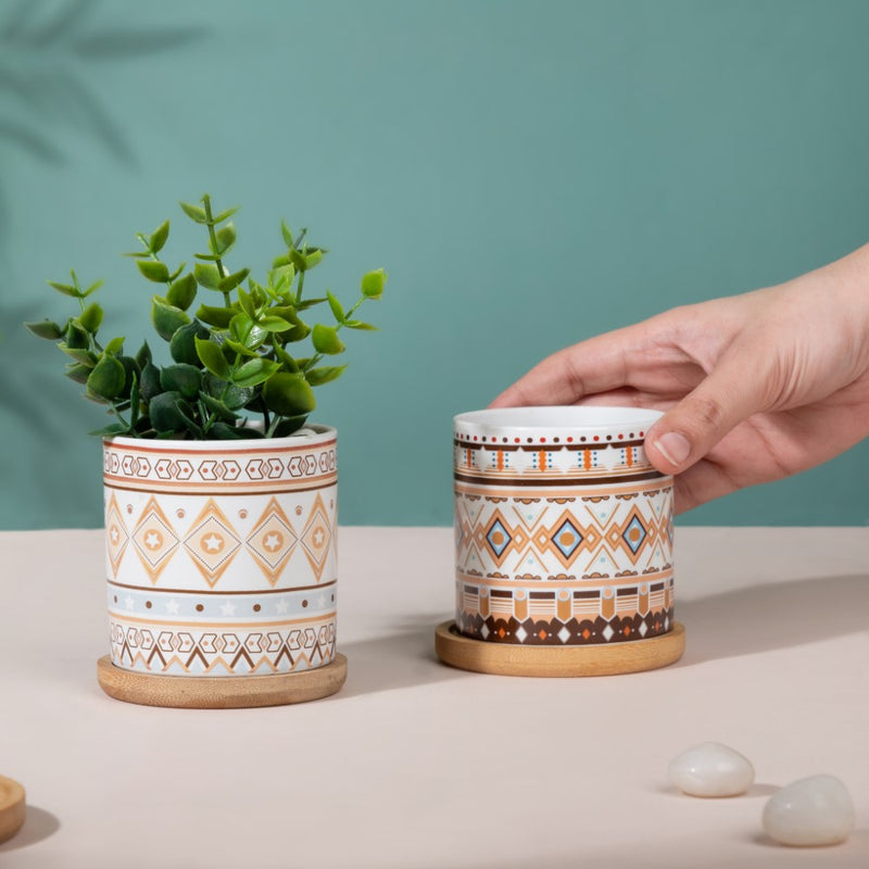 Botanic Expressions Ceramic Planter With Coaster Set Of 2