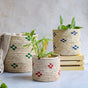 Wicker Planter Set of 3 - Basket | Flower basket