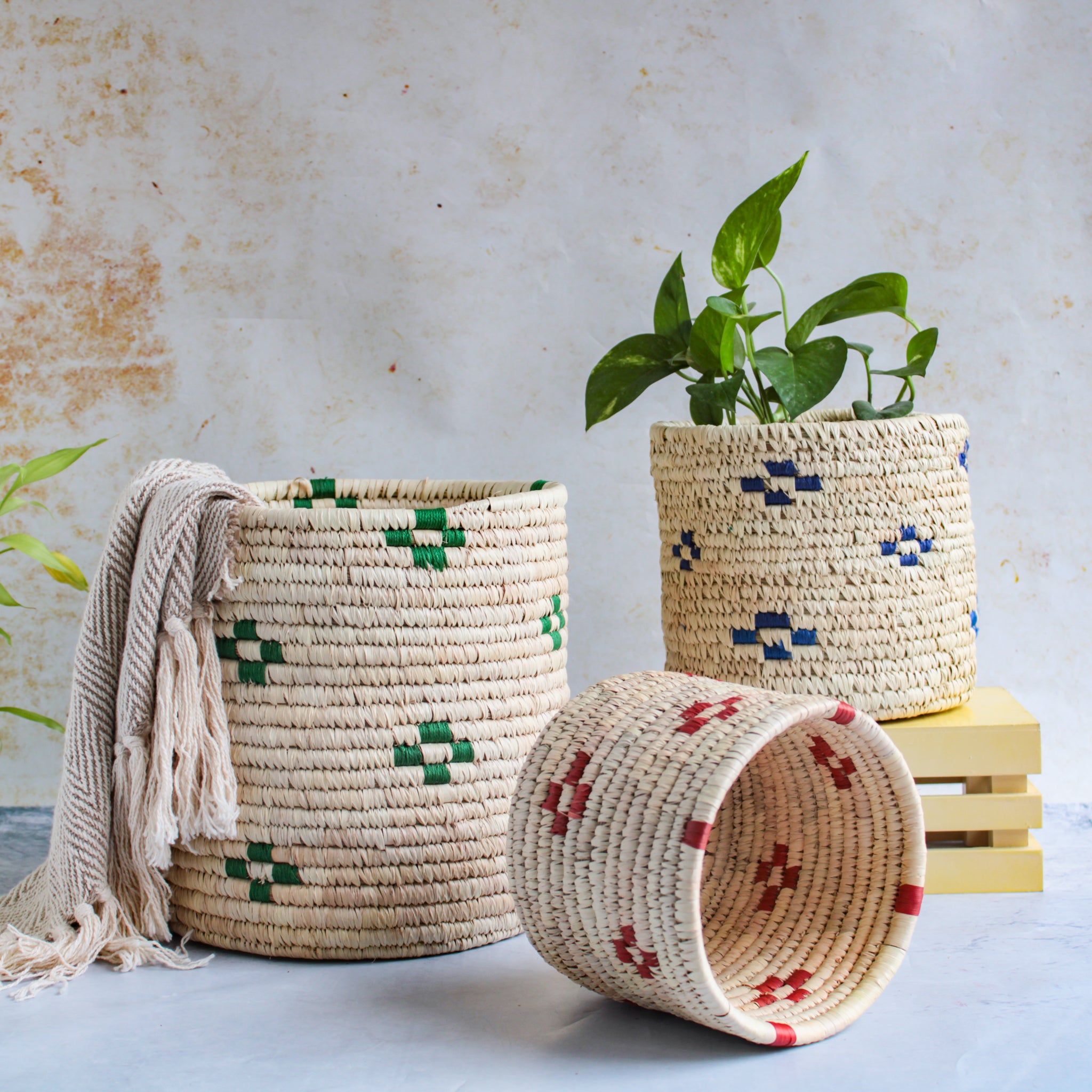 Wicker Planter Set of 3