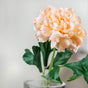 Peony Artificial Flower Peach Set Of 5 - Artificial flower | Flower for vase | Home decor item | Room decoration item