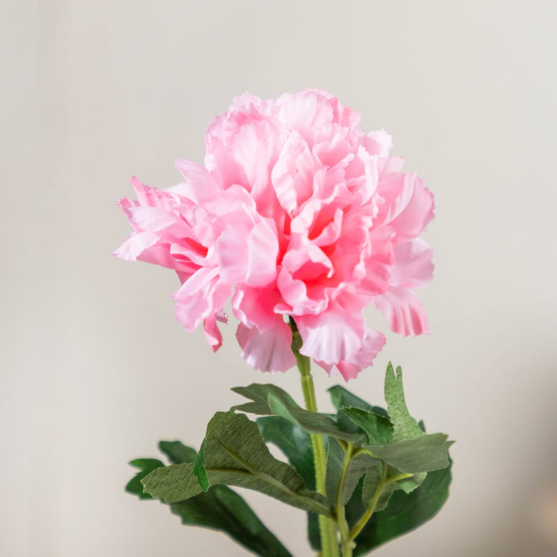 Peony Artificial Flower Pink Set Of 5 - Artificial flower | Flower for vase | Home decor item | Room decoration item