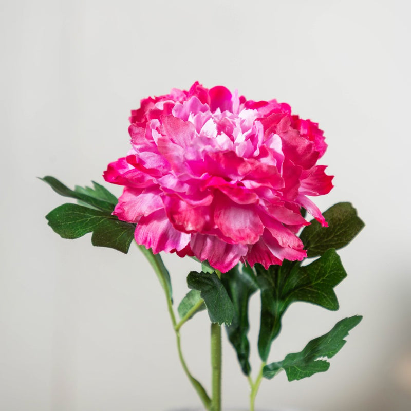 Peony Artificial Flower Maroon Set Of 5 - Artificial flower | Flower for vase | Home decor item | Room decoration item