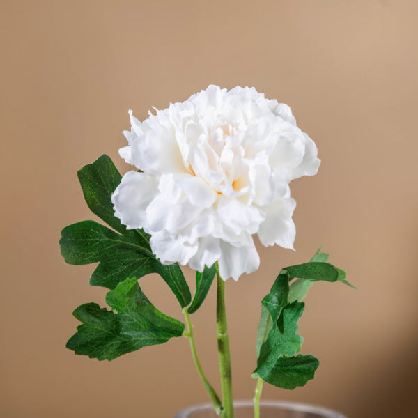 Peony Artificial Flower White Set Of 5