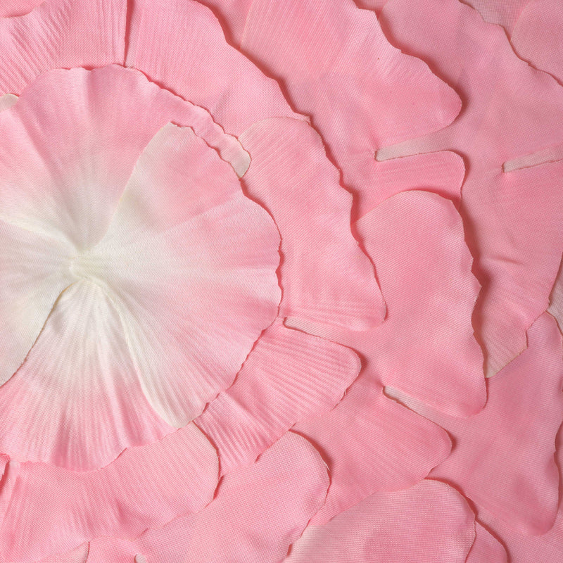 Fabric Placemat Set of 2